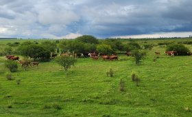 37.5 ha. Cantera. Dto. Colón